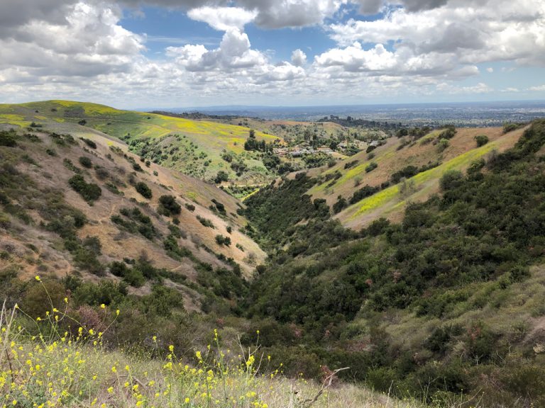 20210426 Turnbull 768x576