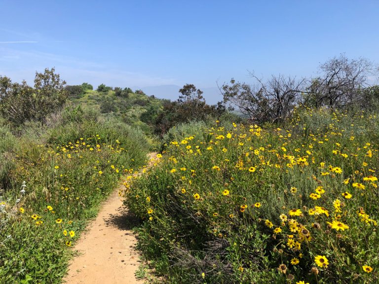 20230411 Ford property 2 768x576