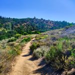 Powder Canyon Nogales Trail B. Everett 150x150