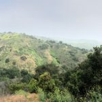 View from Coyote trail  Hacienda Hills 20200429 150x150