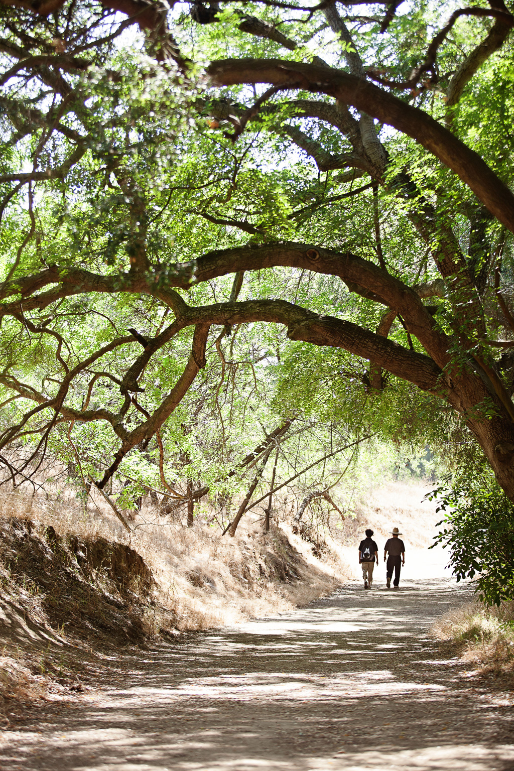 linares marina powder canyon recreation35