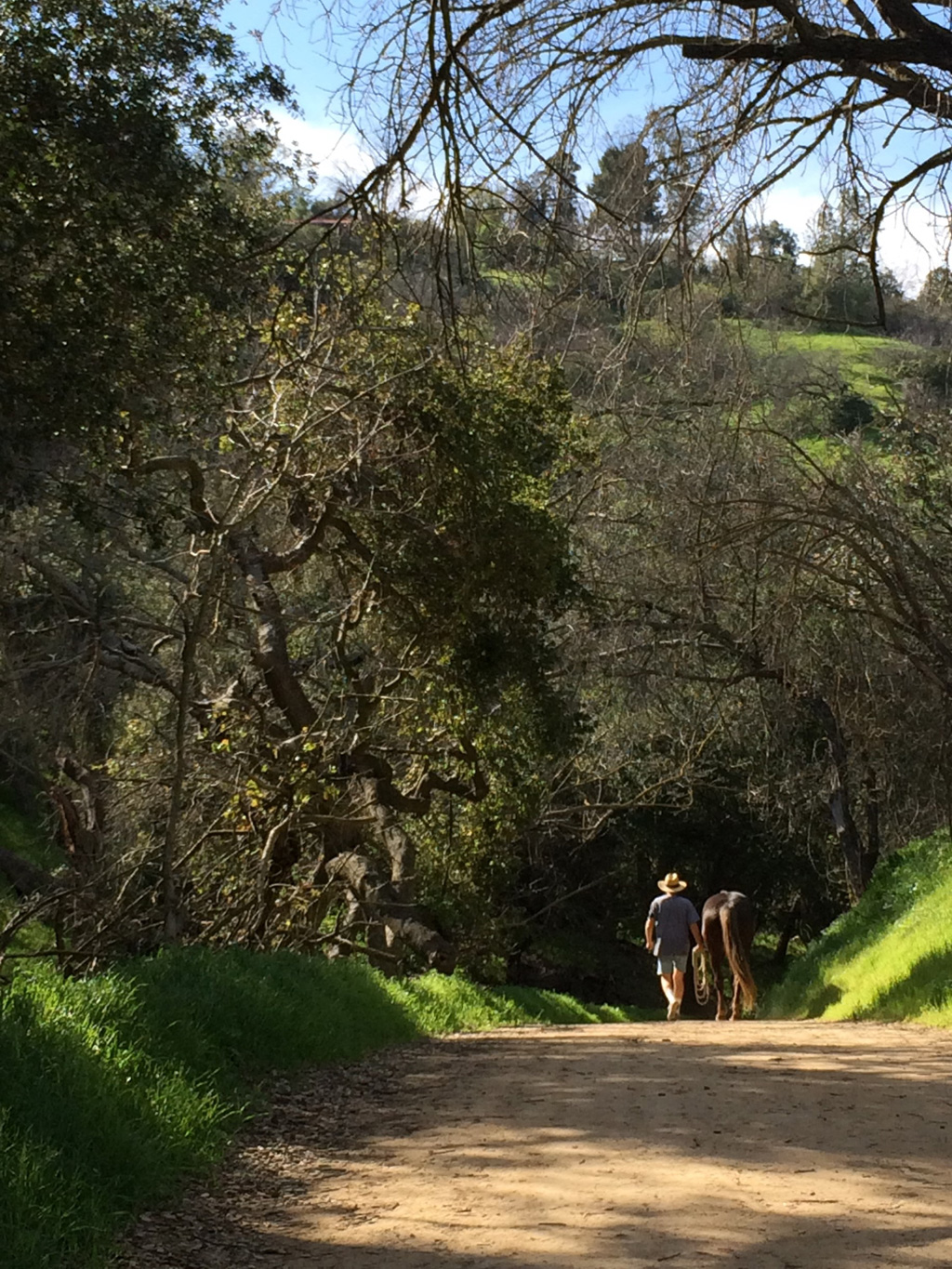 powder recreate horse