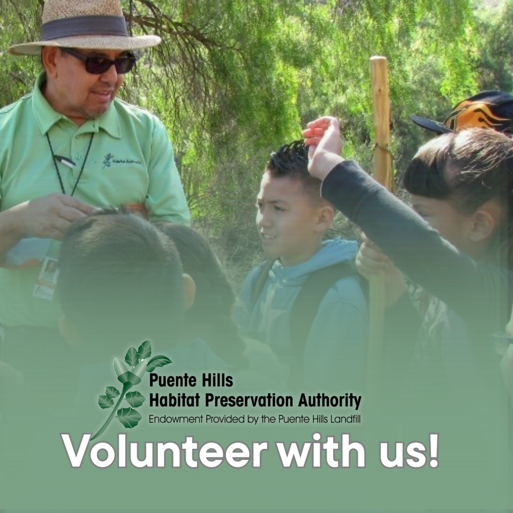 Volunteer with us! Sign up for volunteer training.