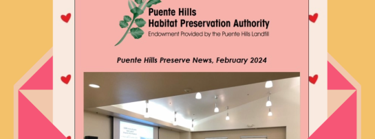 feb-newsletter